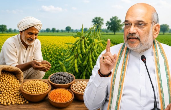 नई सुविधा : बिचौलियों की भूमिका समाप्त करने शाह का बड़ा फैसला, सीधे खरीदी जाएंगी फसल