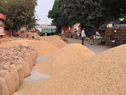 धान खरीदी केंद्र में करोड़ों की अनियमितता