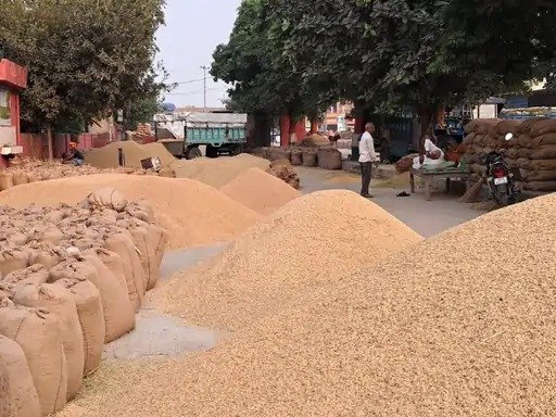 निरीक्षण : उपार्जन केंद्रों से 2441 क्विंटल धान और  बारदाने गायब, 6 पर एफआईआर