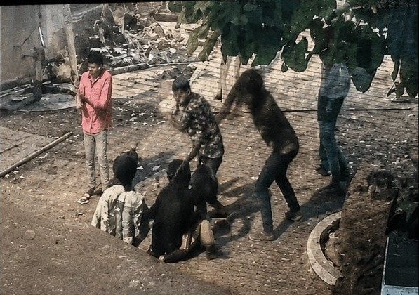 बदमाशों का आतंक : मालवाहक से कुचलने की कोशिश के बाद जानलेवा हमला, दो युवक गंभीर