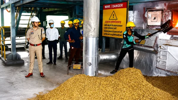 महासमुंद में 5.12 करोड़ का गांजा नष्ट : 998 किलो से ज्यादा मादक पदार्थ भट्ठी में जलाया, 7 एनडीपीएस मामलों की कार्रवाई पूरी