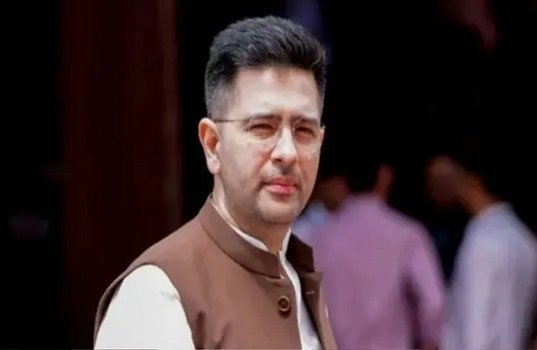 राघव चड्ढा को हाई कोर्ट से राहत नहीं, सभी सामग्री हटाने से किया इनकार