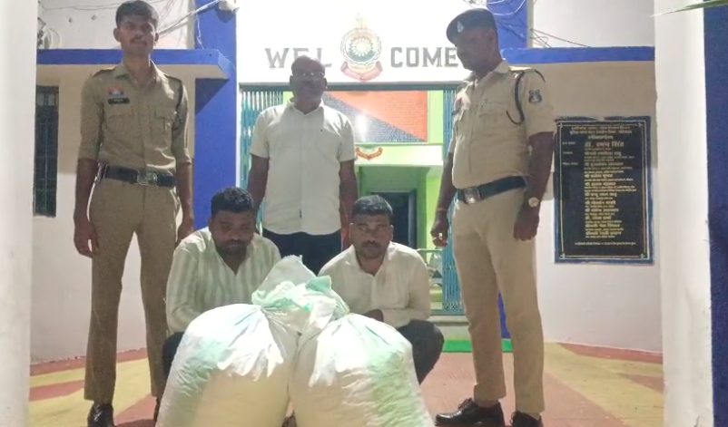 गांजा तस्करी करने वाले आराेपी गिरफ्तार