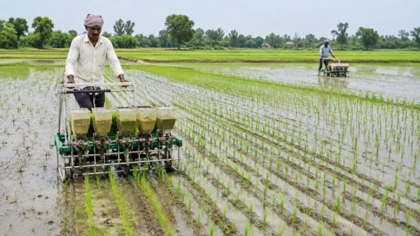 कृषि विभाग : किसानों के लिए जारी हुई खरीफ आकस्मिक कार्ययोजना