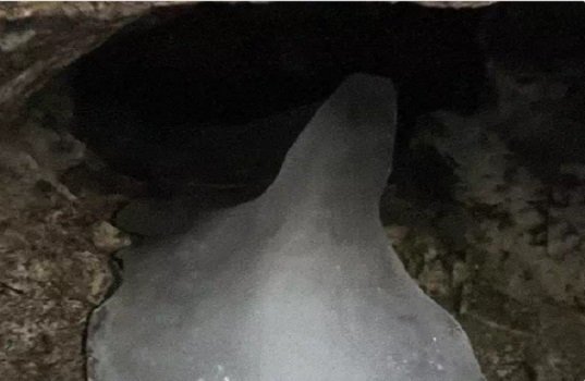 आस्था बरकरार : बदलते मौसम का असर! अमरनाथ में बाबा बर्फानी का हिमलिंग लगातार हो रहा छोटा