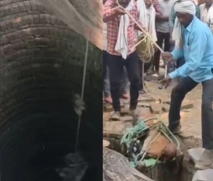 बैल को कुएं से के दौरण 3 युवक की माैत
