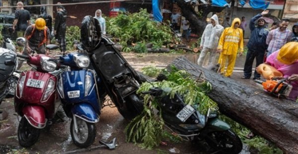 बारिश बनी आफत : मुंबई में पेड़ गिरने से 63 वर्षीय व्यक्ति की मौत, पुणे में दीवार गिरी