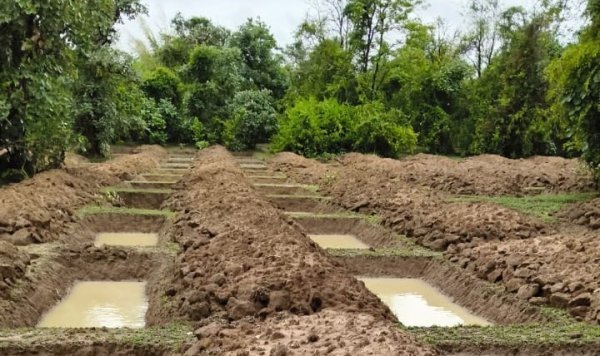 पानी अभियान : 551 ग्राम पंचायतों में भू-जल संवर्धन एवं प्राकृतिक संसाधन कार्यों को प्राथमिकता दी गई
