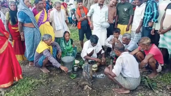 बारिश की आस में अनोखी शादी : सूरजपुर में ग्रामीणों ने कराया मेढ़क-मेढ़की का विवाह