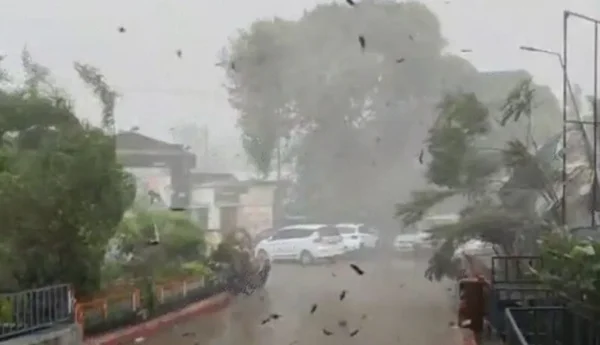 मानसून की रफ्तार तेज : छत्तीसगढ़ में बारिश से झरने लबालब, खेतों में पानी भरने से किसान परेशान