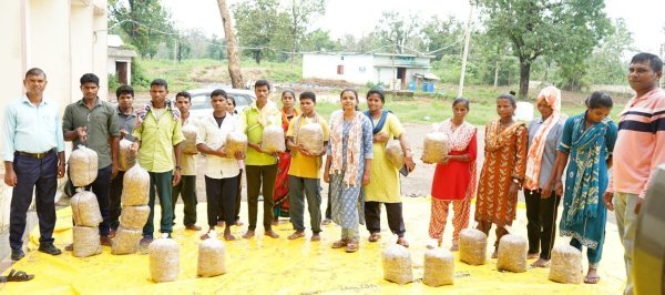 रोजगार का नया अवसर : सुकमा में आत्मसमर्पित युवाओं को दिया मशरूम उत्पादन का प्रशिक्षण