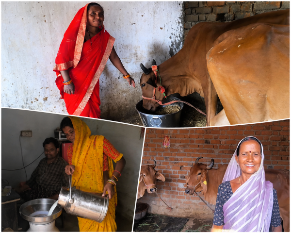 डेयरी कहानी : गिर-साहीवाल गायों से बदली किस्मत, महिलाओं को मिला रोजगार का सहारा