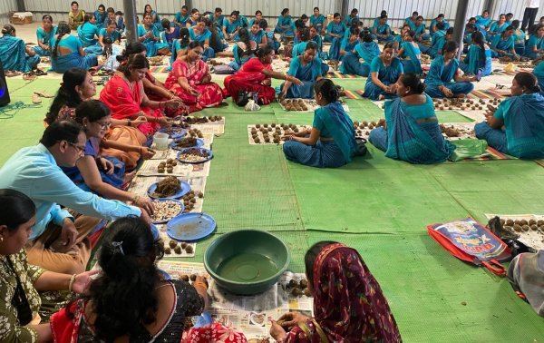 पर्यावरण संरक्षण की मिसाल : सारंगढ़ की महिलाओं का हरियाली संकल्प, 30 हजार सीड बॉल से होगा पौधारोपण