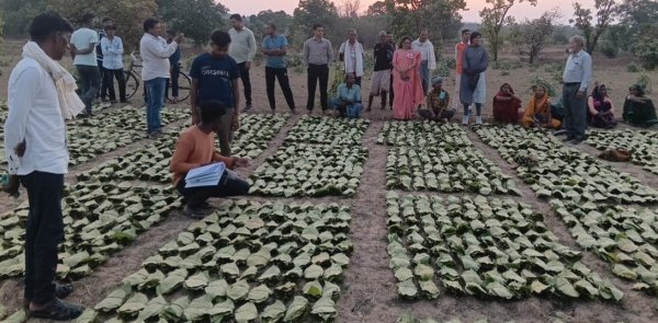 वनवासियों को बड़ी राहत : तेन्दूपत्ता संग्राहकों के खातों में पहुंची 1.39 करोड़ की बोनस राशि
