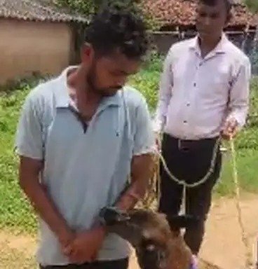 खुलासा : सिलबट्टे से वार कर युवक को उतारा मौत के घाट, पुलिस डॉग ने खोला हत्या का राज