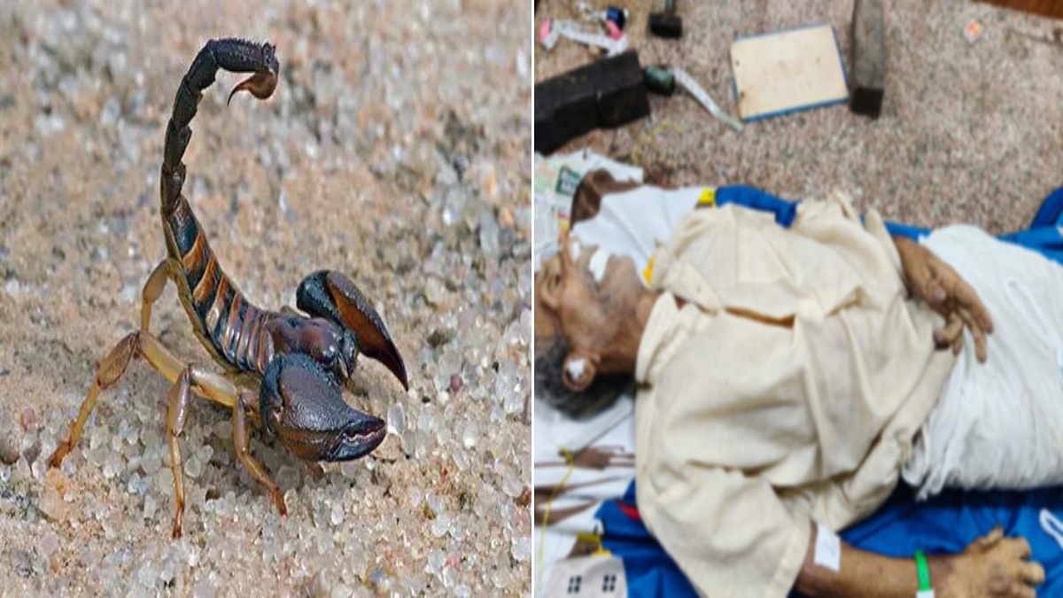 बिच्छू की डंक से किसान की मौत