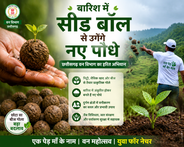 वन विभाग का हरित प्रयास : सीड बॉल अभियान से बदलेगी जंगलों की तस्वीर, बारिश के साथ धरती पर लौटेगी हरियाली