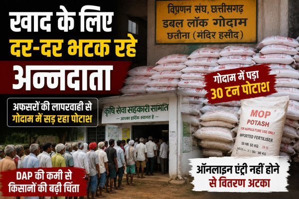 खाद नहीं, चक्कर ही चक्कर... किसान लाइन में, गोदाम में 30 टन पोटाश 20 दिन से पड़ा