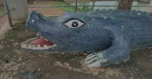 अनोखा रिश्ता : न हमला किया, न डराया... गंगाराम मगरमच्छ बन गया गांव का परिवार