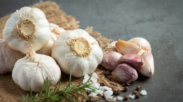 फायदे : रोजाना लहसुन खाने के फायदे और नुकसान, जानिए विशेषज्ञों की राय