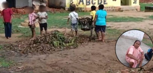 मासूमों के हाथों में किताब नहीं, झाड़ियों की सफाई,शहडोल के सरकारी स्कूल का VIDEO वायरल