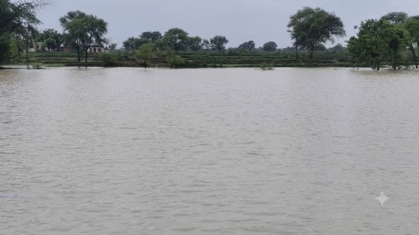 हड़कंप : सिंचाई विभाग की लापरवाही से टूटी नहर, दमकाडीह के किसानों पर टूटा संकट