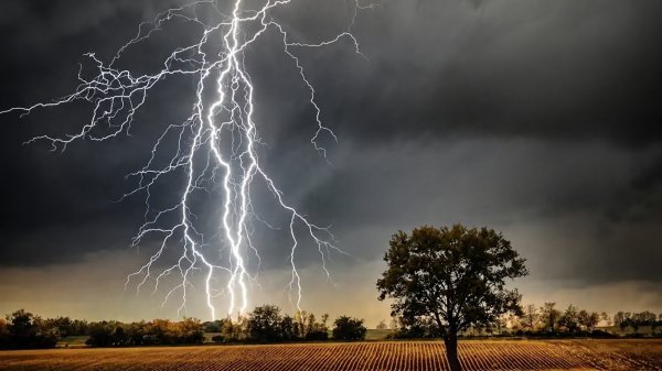 बिजली का कहर: धान रोपाई के दौरान 7 साल की मासूम की मौत, दो लोग झुलसे