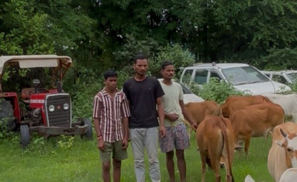 नाकाम हुई गौ तस्करी : गौ सेवकों और पुलिस की मुस्तैदी से 13 गौवंश सुरक्षित, 3 आरोपी गिरफ्तार