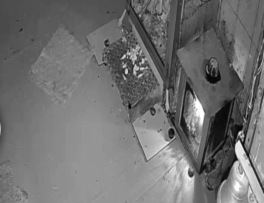 अनोखी घटना : आधी रात हनुमान मंदिर में दिखी रहस्यमयी हलचल, CCTV फुटेज से बढ़ी लोगों की जिज्ञासा