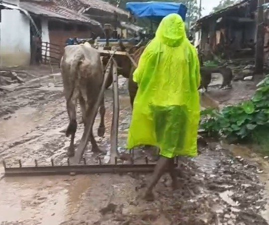 स्वीकृति के बाद भी सड़क अधूरी : एक साल बीता, ग्रामीणों ने सड़क पर धान रोपकर जताया विरोध