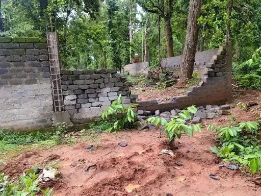 जंगलों से गांव तक पहुंचे हाथी : रात में गांव पहुंच रहा हाथियों का दल, राइस मिल में घुसकर खाया धान