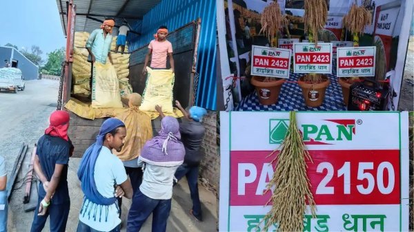 खुलासा : बीजों की अवैध बिक्री का आरोप, पान सीड्स प्राइवेट लिमिटेड का लाइसेंस रद्द