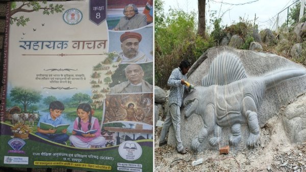 नई पहचान : खैरागढ़ के कलाकार दंपति की बड़ी उपलब्धि, पत्थरों पर उकेरी कला अब किताबों में