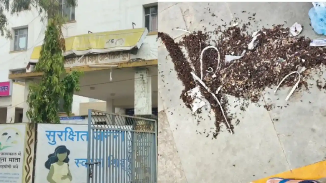 ऑपरेशन थिएटर में चींटियां मिलने के बाद बंद हुई सर्जरी