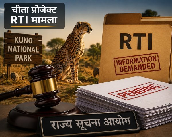एक्शन : RTI नियमों के उल्लंघन के आरोपों पर चीता प्रोजेक्ट डायरेक्टर आयोग के सामने होंगे पेश