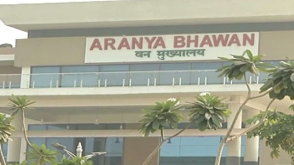 छत्तीसगढ़ में प्रशिक्षु IFS अधिकारियों की नई पदस्थापना, फील्ड ट्रेनिंग के लिए मिली जिम्मेदारी