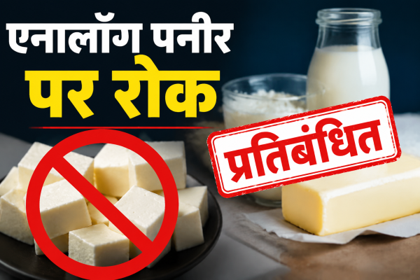 छत्तीसगढ़ में एनालॉग पनीर और डेयरी उत्पादों पर लगा प्रतिबंध, सरकार ने जारी किए सख्त निर्देश