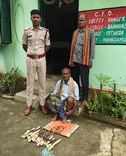 पिथौरा वन क्षेत्र में अवैध करील संग्रहण, एक आरोपी पर वन अपराध दर्ज