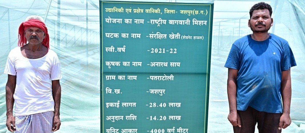 किसान अनारथ साय की संरक्षित खेती