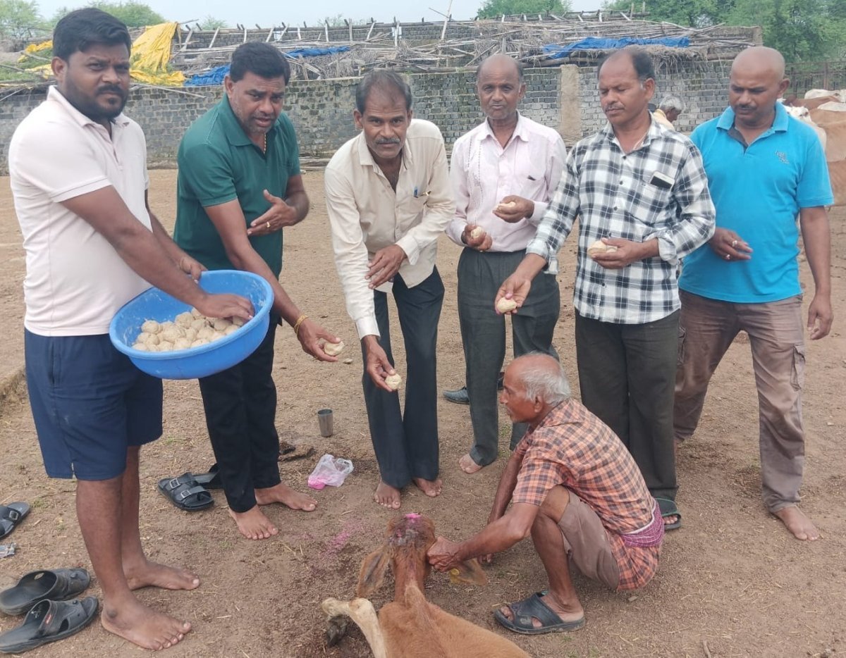 फरफौद में पशुधन पूजा करते ग्रामीण