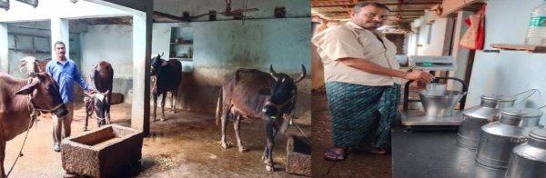 सरकारी योजनाओं से बदली किस्मत, डेयरी व्यवसाय से हर माह 50 हजार की कमाई