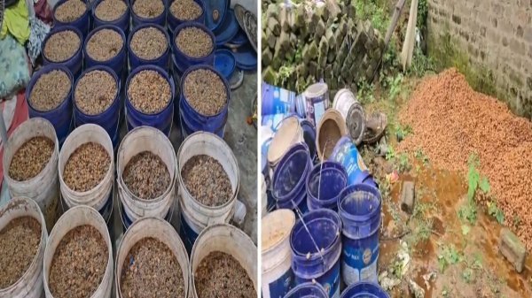 अवैध महुआ शराब की फैक्ट्री का भंडाफोड़, 70 लीटर शराब और 480 किलो लहन जब्त