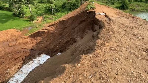 2.68 करोड़ की मरम्मत पहली बारिश में बेअसर, बेल्हारी बांध के तटबंध से बहने लगी मिट्टी, 162 एकड़ फसल पर खतरा