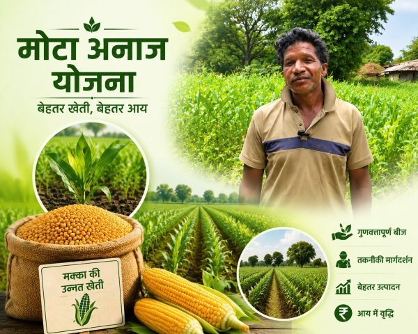 मुफ्त बीज और तकनीकी मार्गदर्शन से बदली खेती की तस्वीर, आधुनिक खेती को मिल रहा बढ़ावा