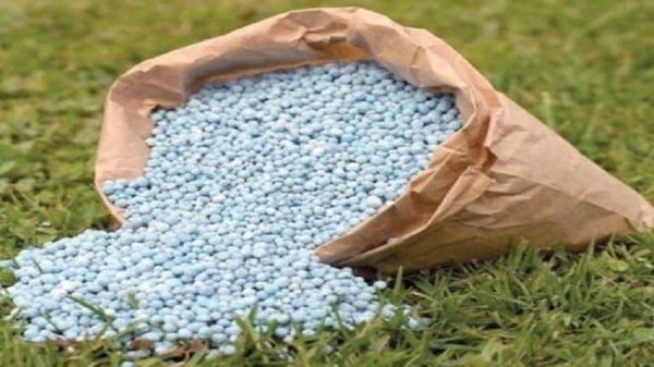 खाद वितरण के नियम बदले : किसानों को 50% अतिरिक्त खाद की छूट, टैगिंग व्यवस्था खत्म