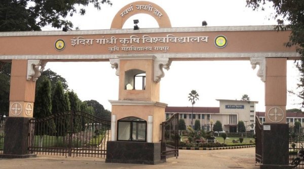 बीएससी कृषि कालेजों में प्रवेश के लिए काउंसलिंग शुरू, 23 अगस्त तक फीस जमा करने का मौका