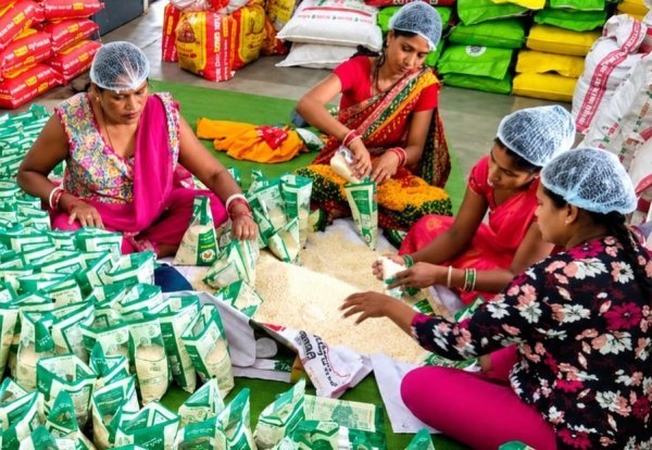 GPM Farmers: जीपीएम की पहचान बना विष्णुभोग चावल, 1,500 किसानों को मिल रहा फायदा