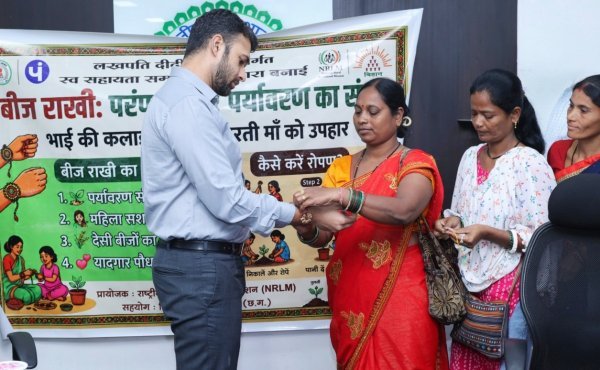 Raigarh Seed Rakhi: बीज राखियों से पर्यावरण संरक्षण की पहल, कलेक्टर को महिलाओं ने पहनाई बीज राखी