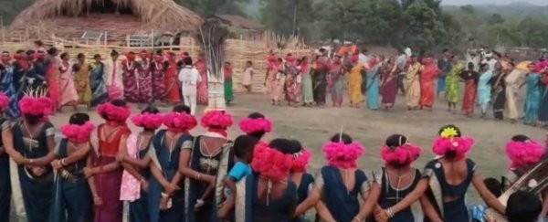 Ghotul Tradition: गोलियों की गूंज की जगह अब मांदर की थाप, अबूझमाड़ में लौट रही घोटुल की रौनक