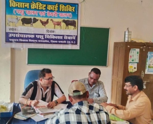 Animal Husbandry: पशुपालन से आत्मनिर्भरता की राह, धमतरी में 93 पशुपालकों को मिला KCC ऋण